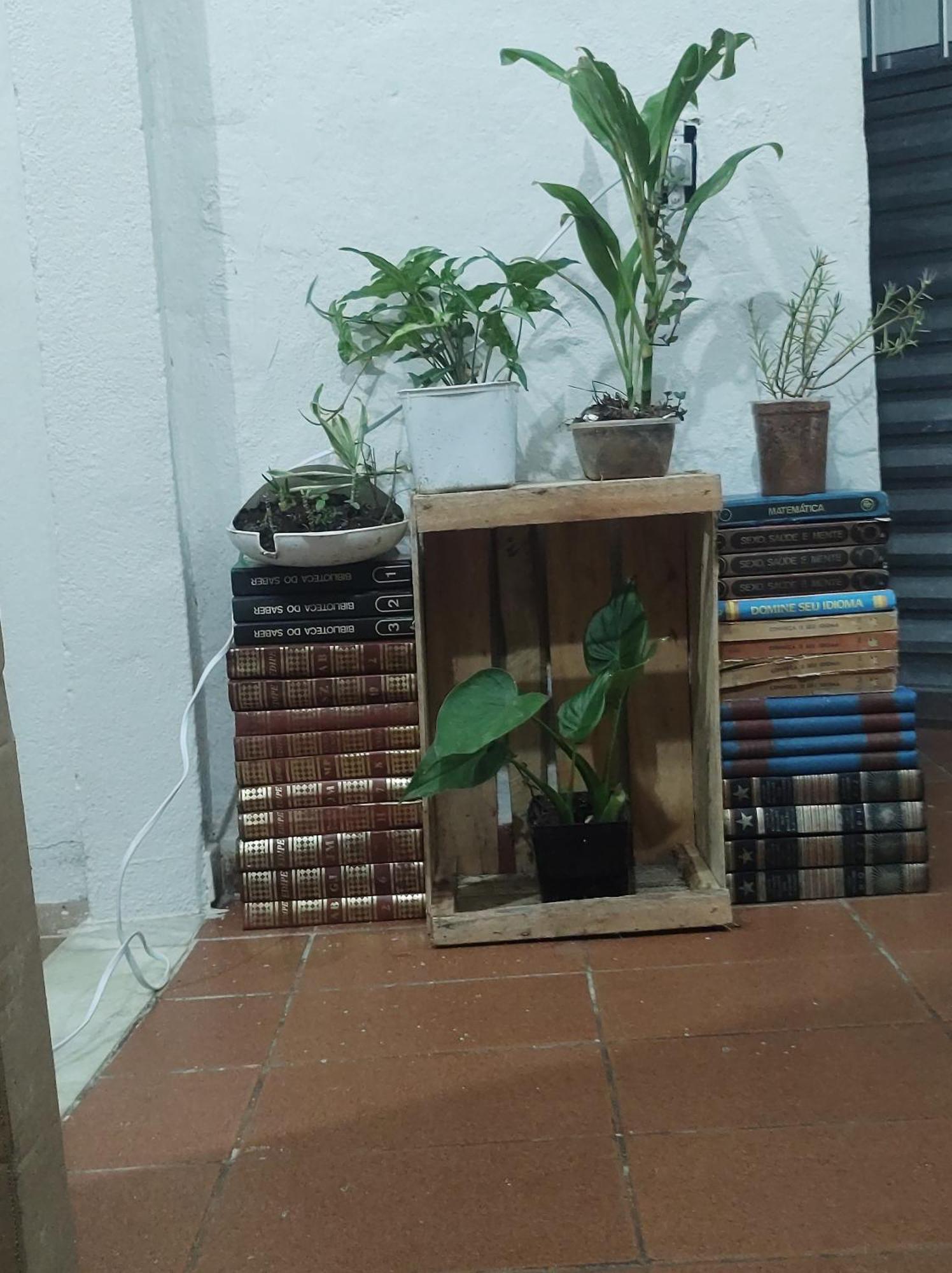 Ferienwohnung Refugio Dos Viajantes Piraí Exterior foto